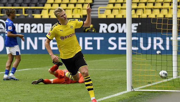 本土球员中 本土球员中